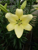 [5067 Gerritzalm No02.JPG]